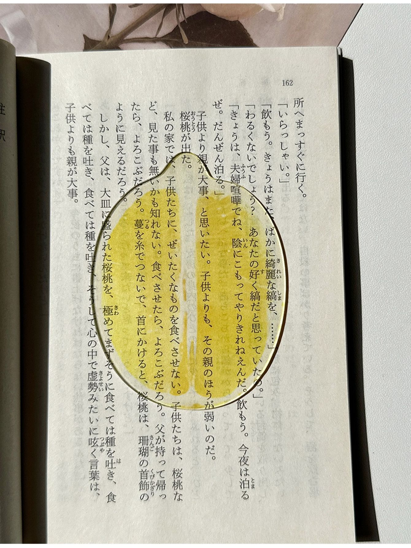 Markii - Lemon Fruit Acrylic Bookmark