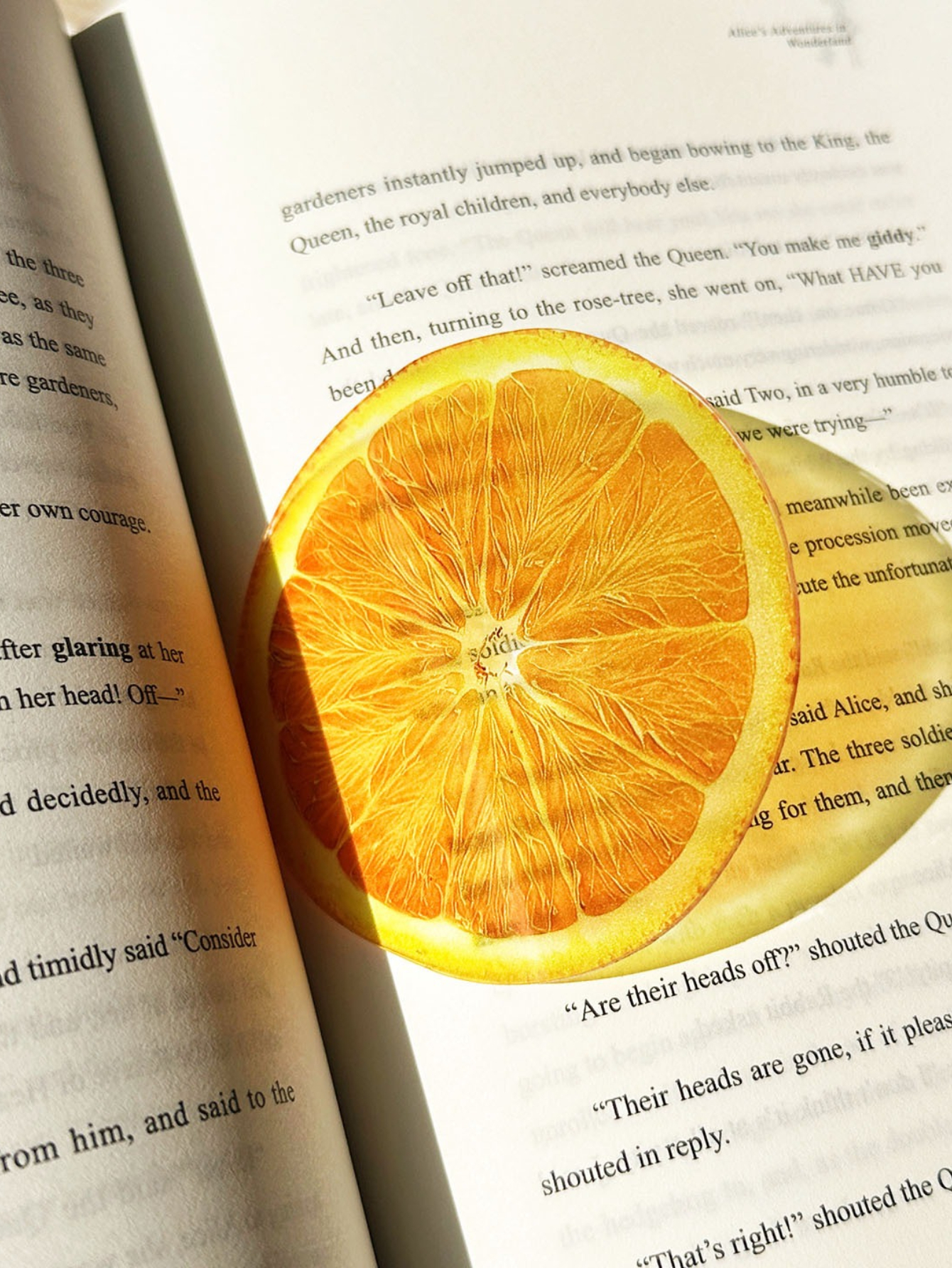 Markii - Stylish Orange Fruit Acrylic Bookmark