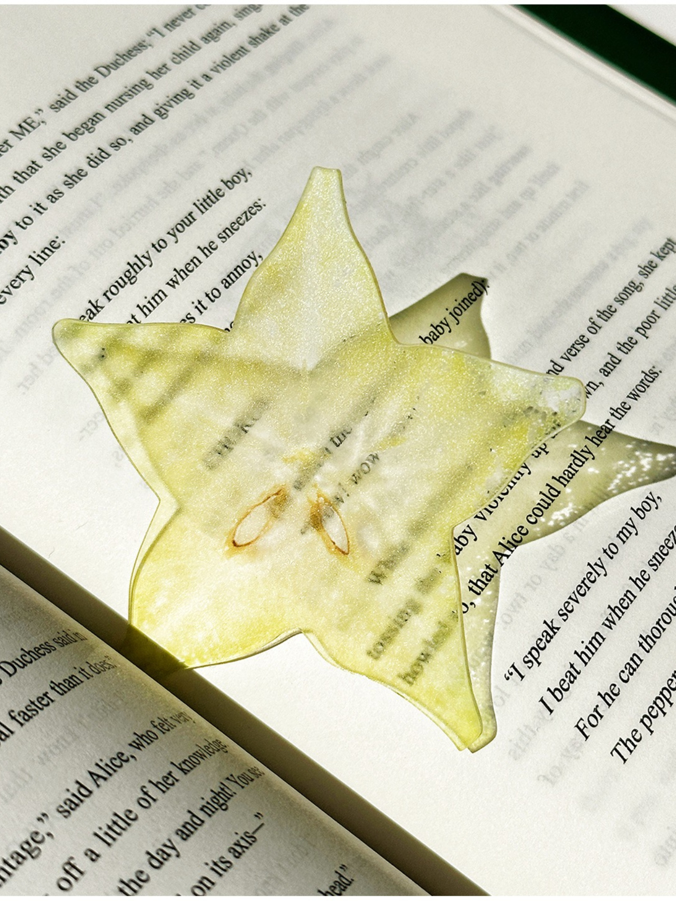 Markii - Cute Original Starfruit Fig Fruit Acrylic Bookmark