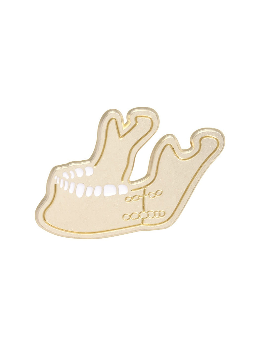 Pinori dental medical brooch in a gift box with soft padding
