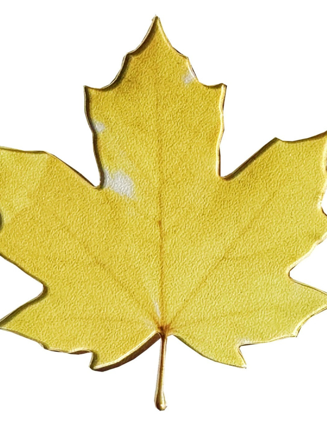 Markii - Cute Original Maple Leaf Acrylic Bookmark