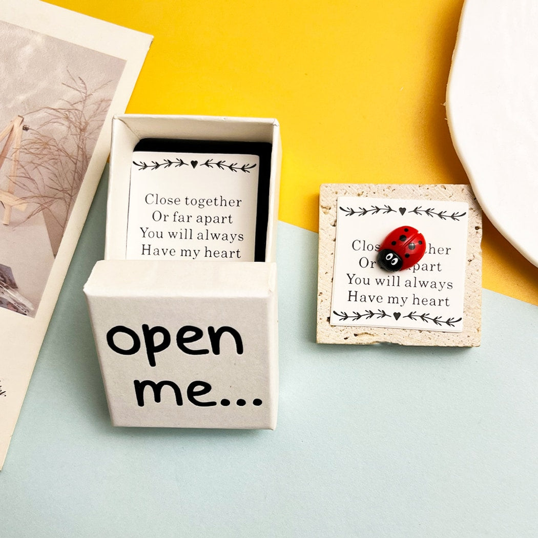 Taphug - Pocket Hug Ladybug Heart Mini Keepsake Box