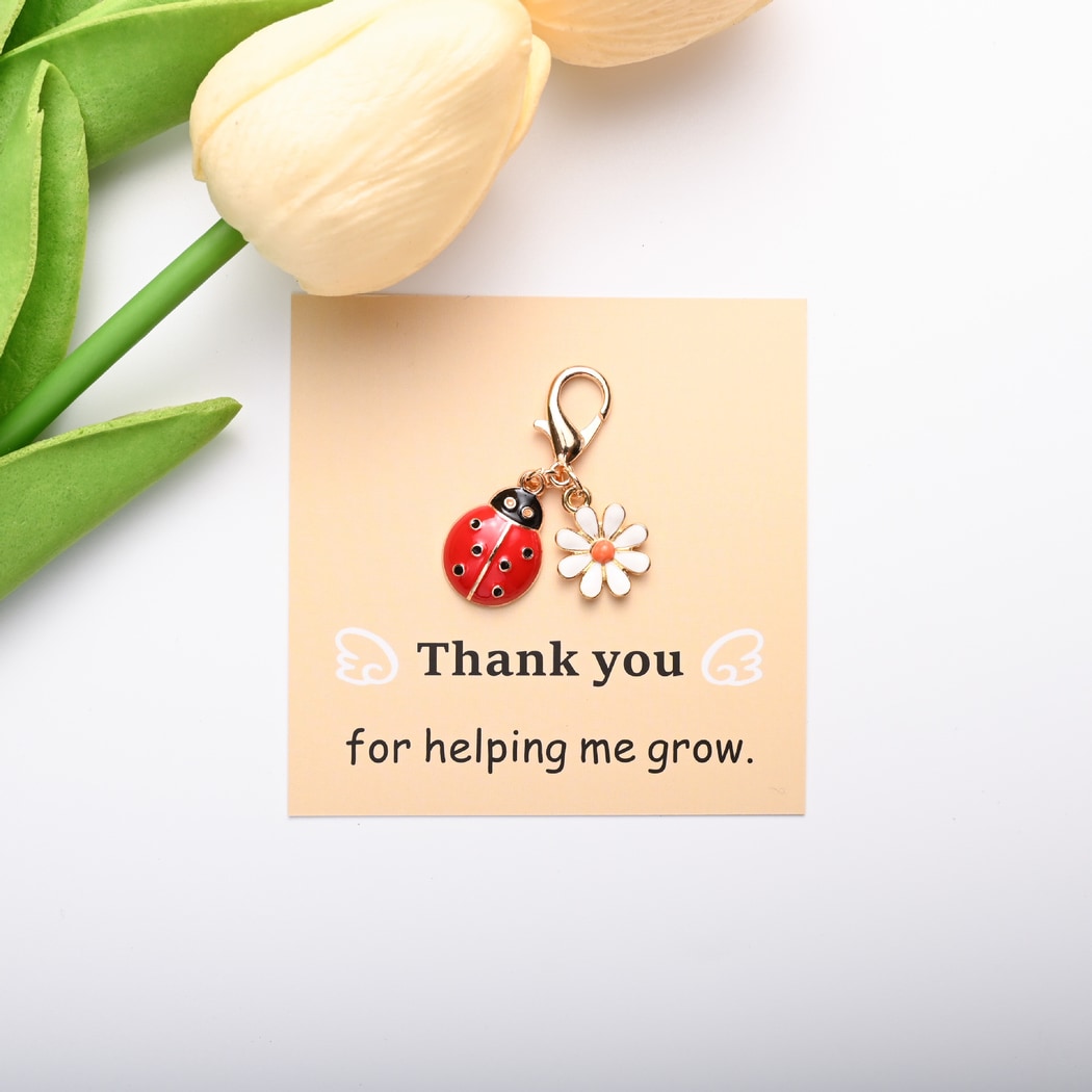 Taphug - Pocket Hug Ladybug and Daisy Keychain