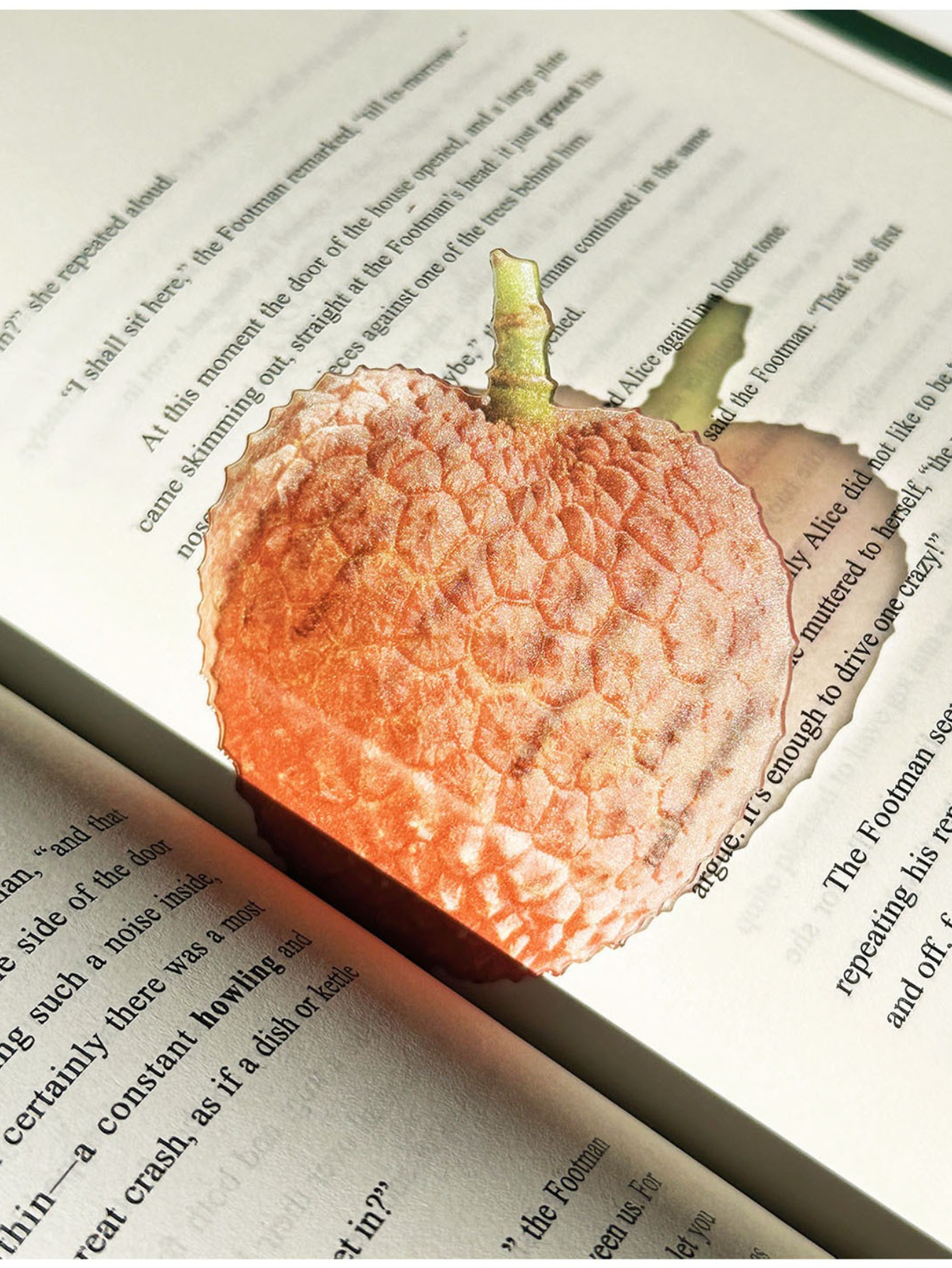 Markii - Cute Litchi Fruit Acrylic Bookmark