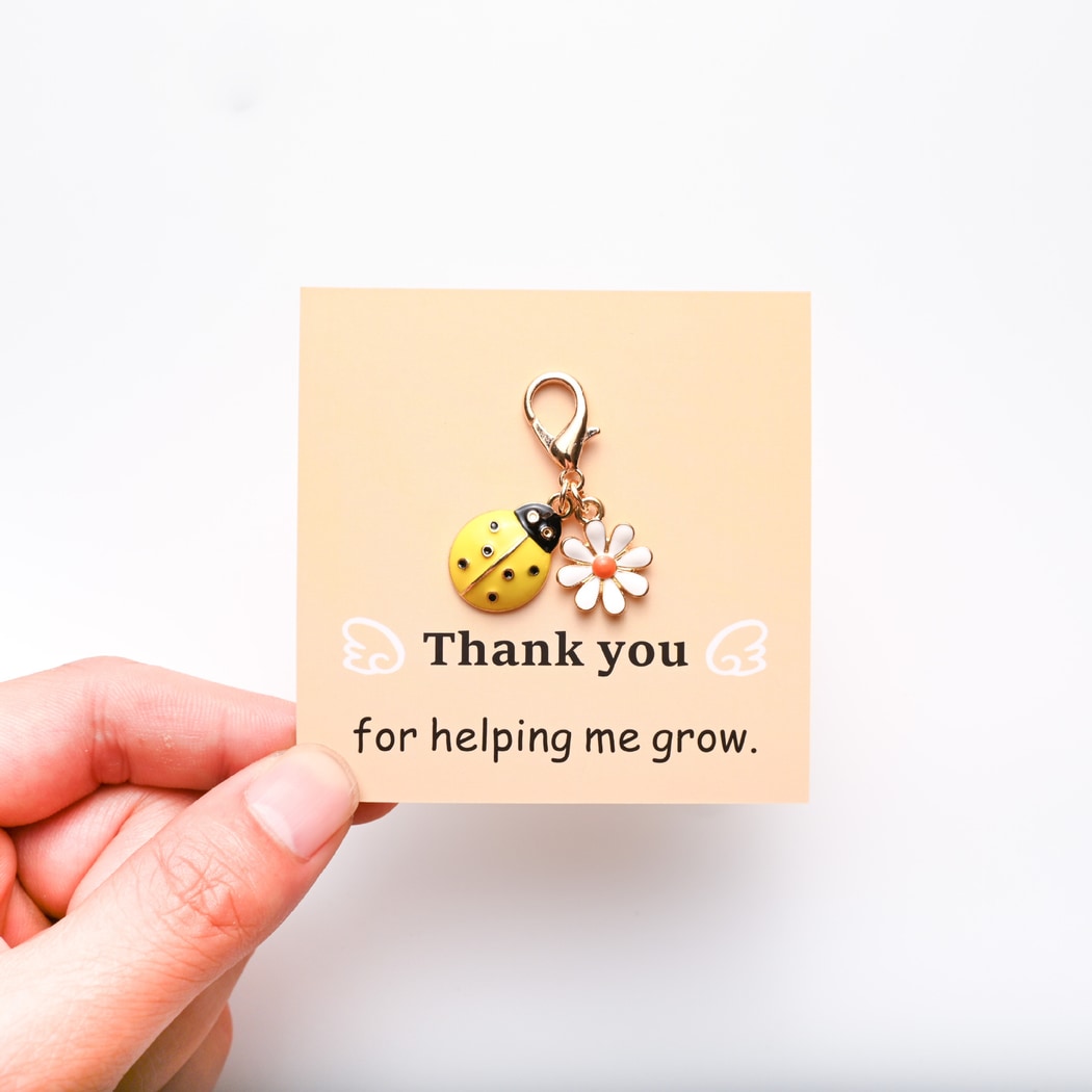 Taphug - Pocket Hug Ladybug and Daisy Keychain