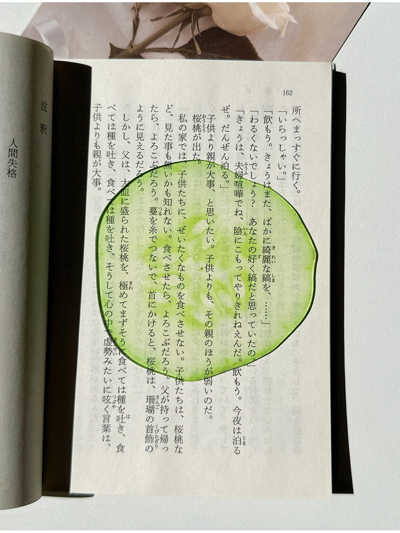 Markii - Unique Cucumber Fruit Design Acrylic Bookmark