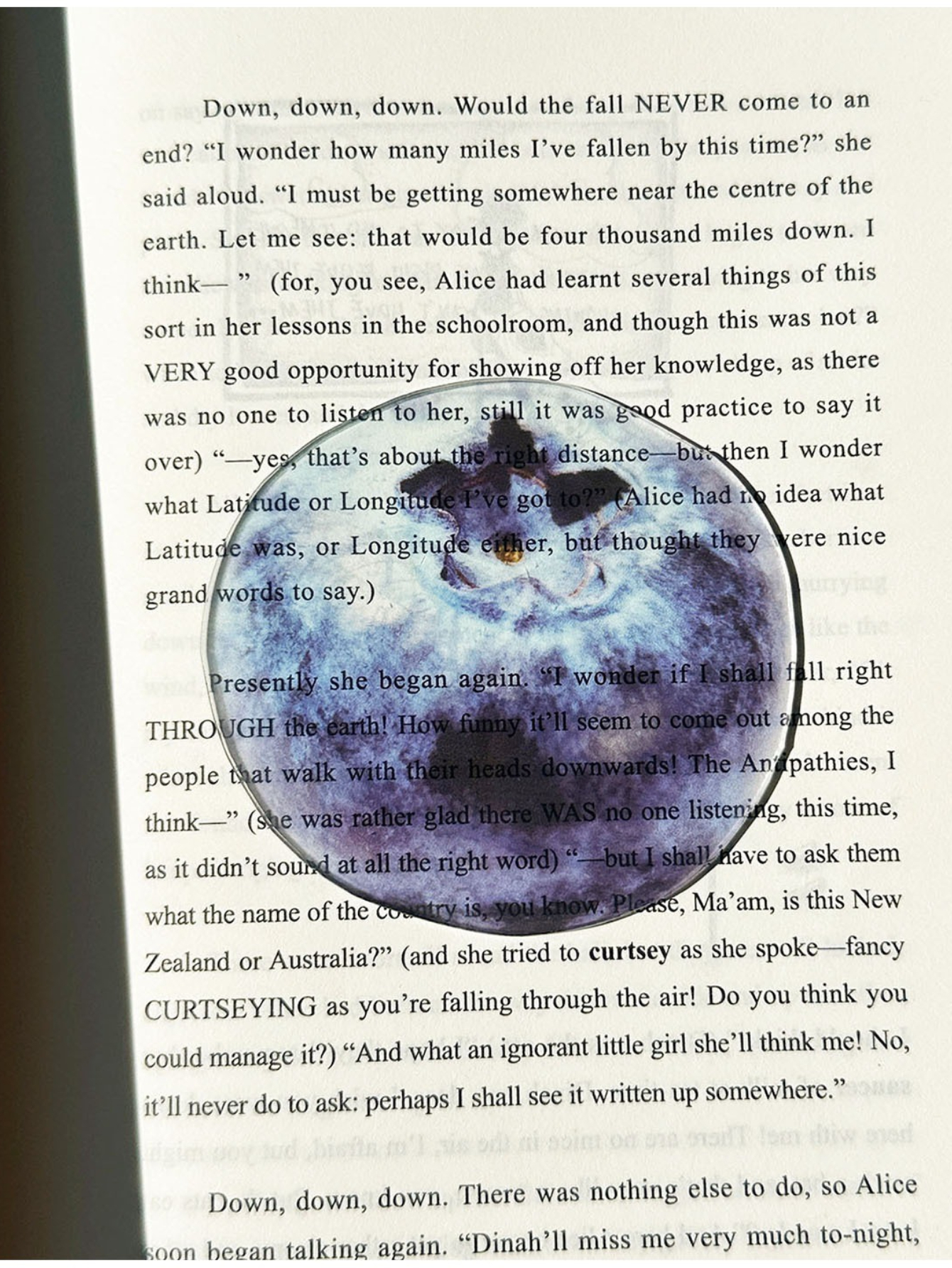 Markii - Cute Original Blueberry Fruit Acrylic Bookmark