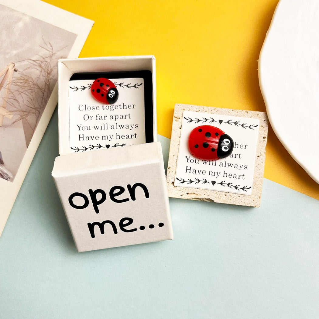 Taphug - Pocket Hug Ladybug Heart Mini Keepsake Box