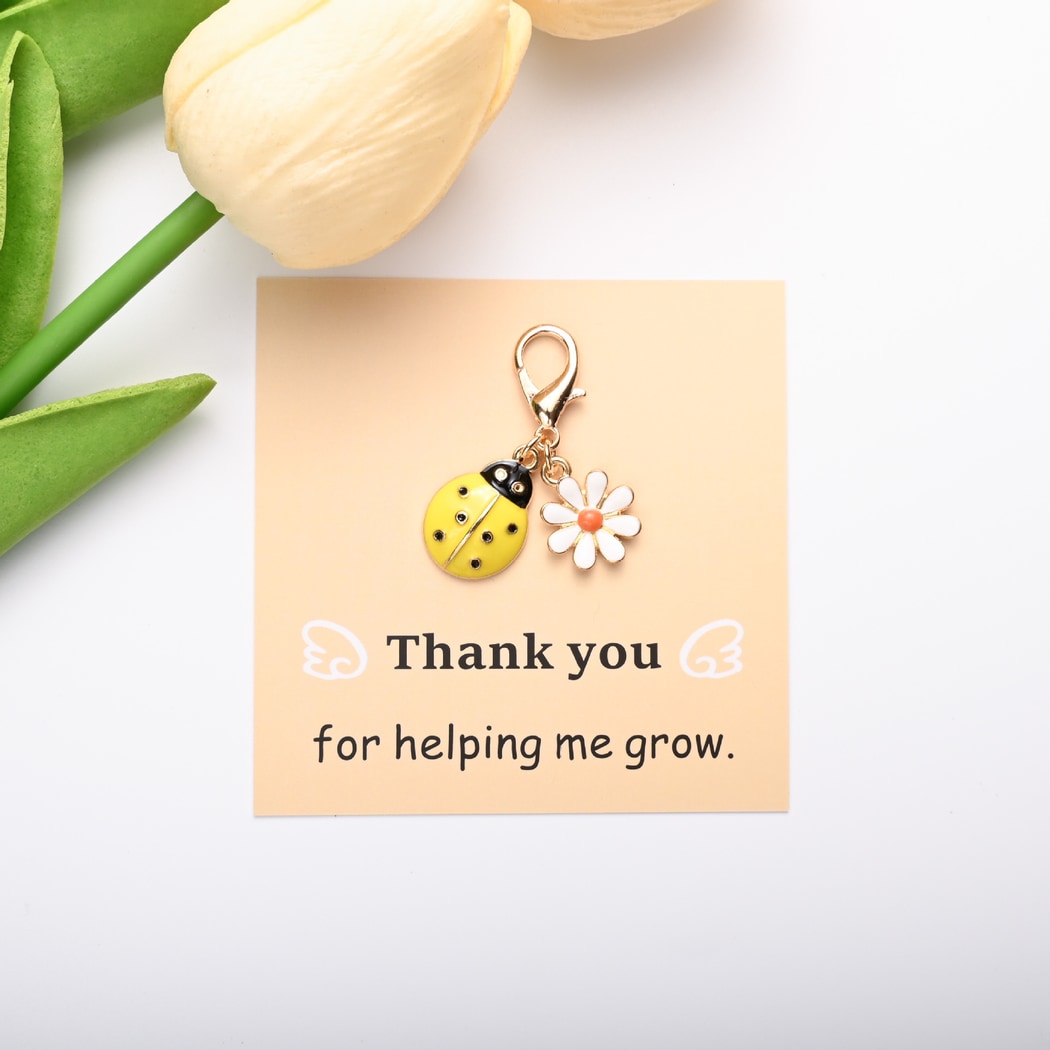 Taphug - Pocket Hug Ladybug and Daisy Keychain