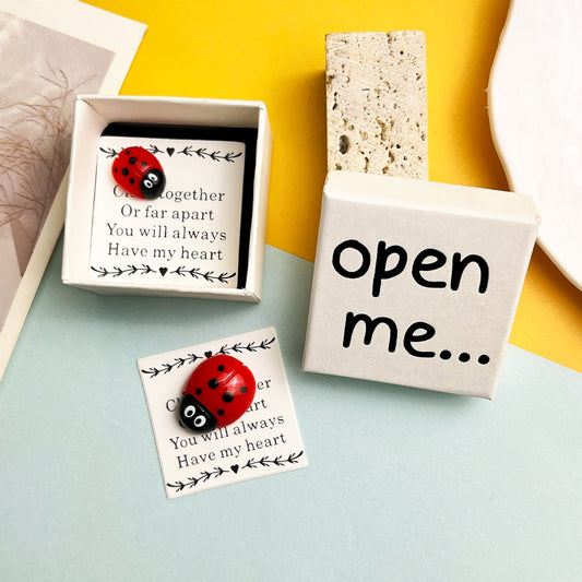 Taphug - Pocket Hug Ladybug Heart Mini Keepsake Box
