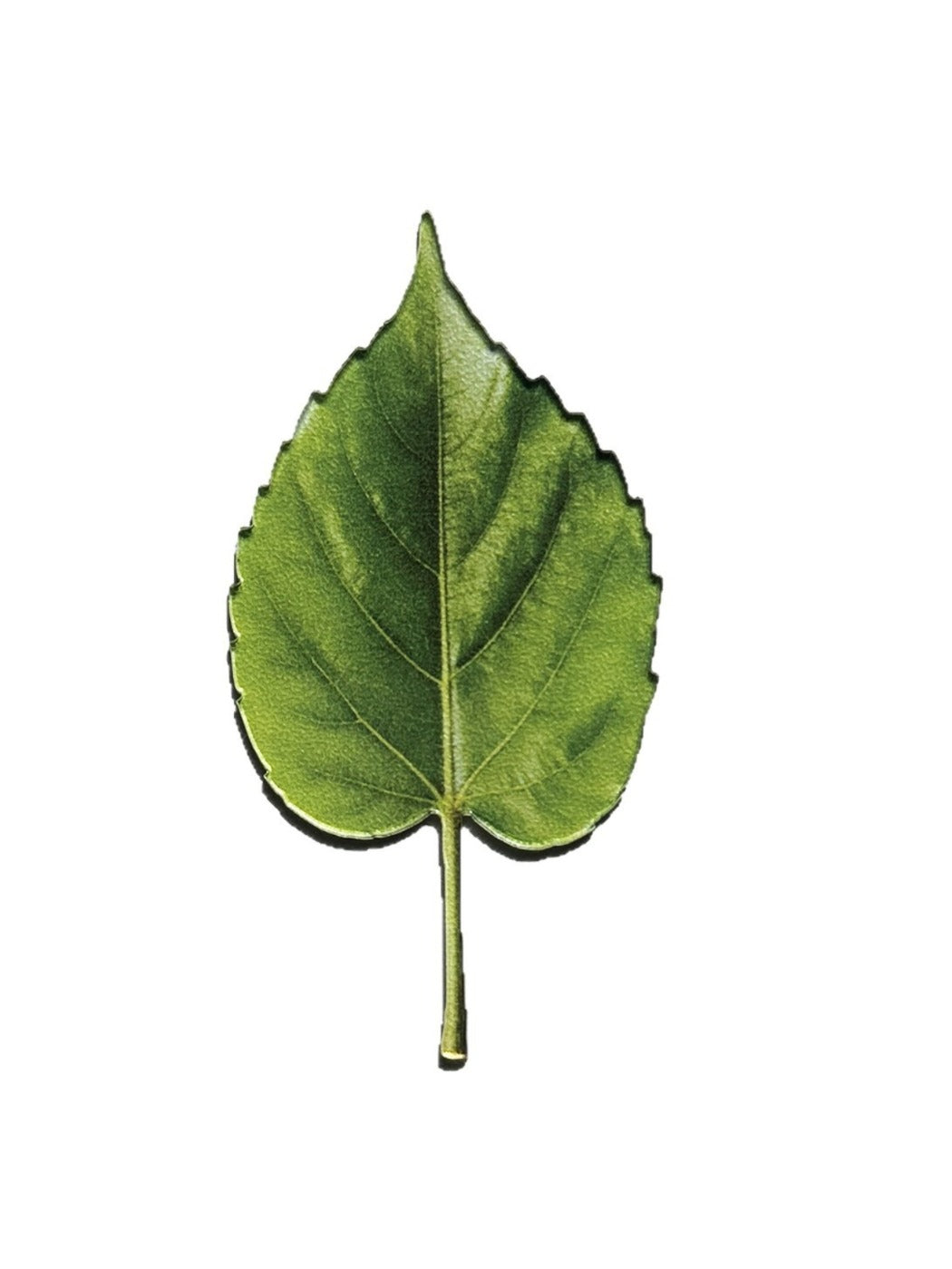 Markii - Elegant Green Leaf Acrylic Bookmark