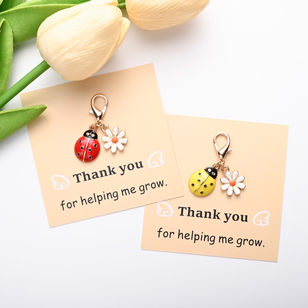 Taphug - Pocket Hug Ladybug and Daisy Keychain
