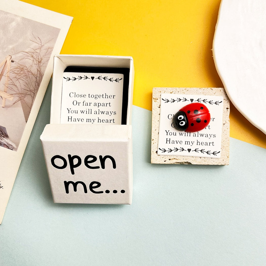 Taphug - Pocket Hug Ladybug Heart Mini Keepsake Box