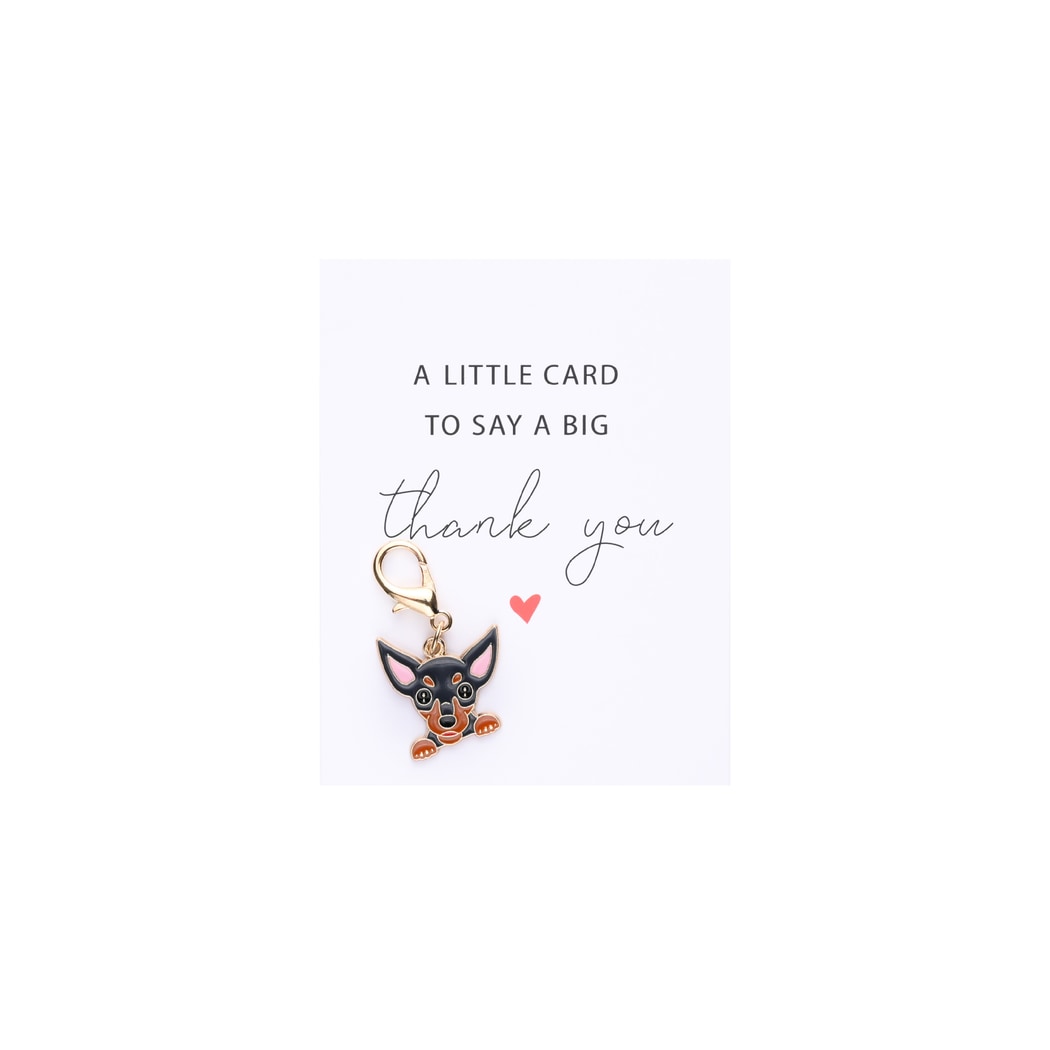 Taphug - Pocket Hug Cute Pet Charm Keychain