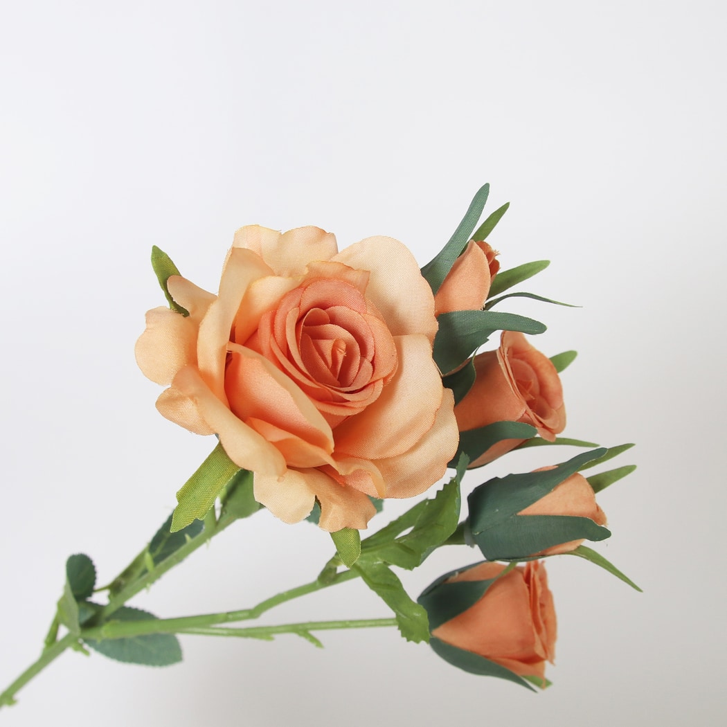 Roselle - Minimalist Shaped Rose Artificial Flowers